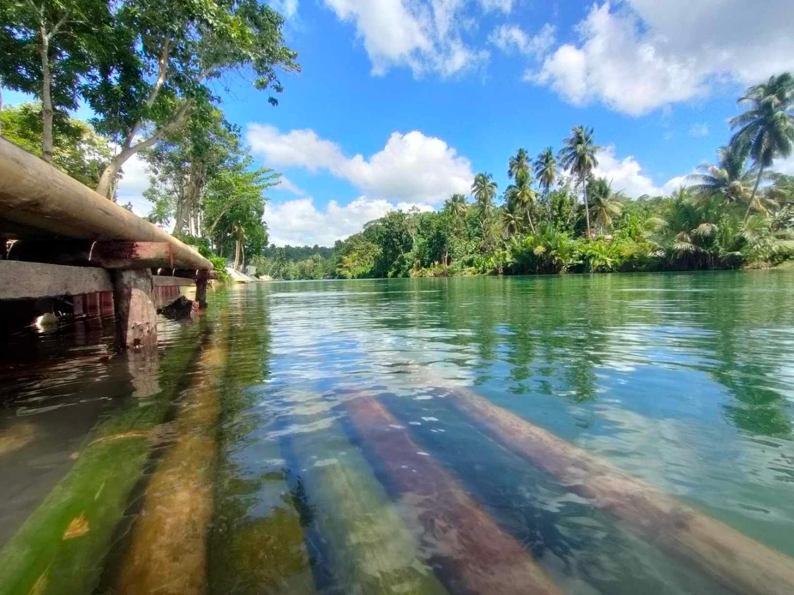 Gbu Loboc River Guesthouse Exteriér fotografie